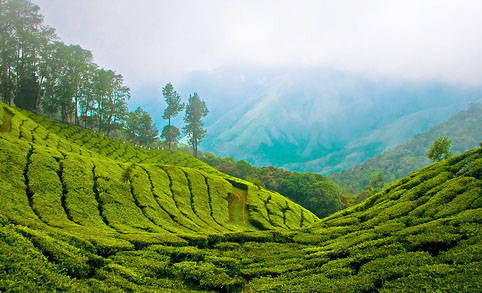 Chithirapuram holiday packages.