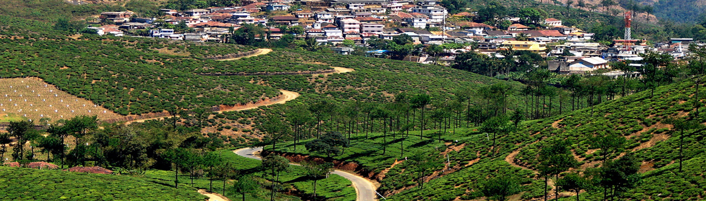 Elappara holiday packages.