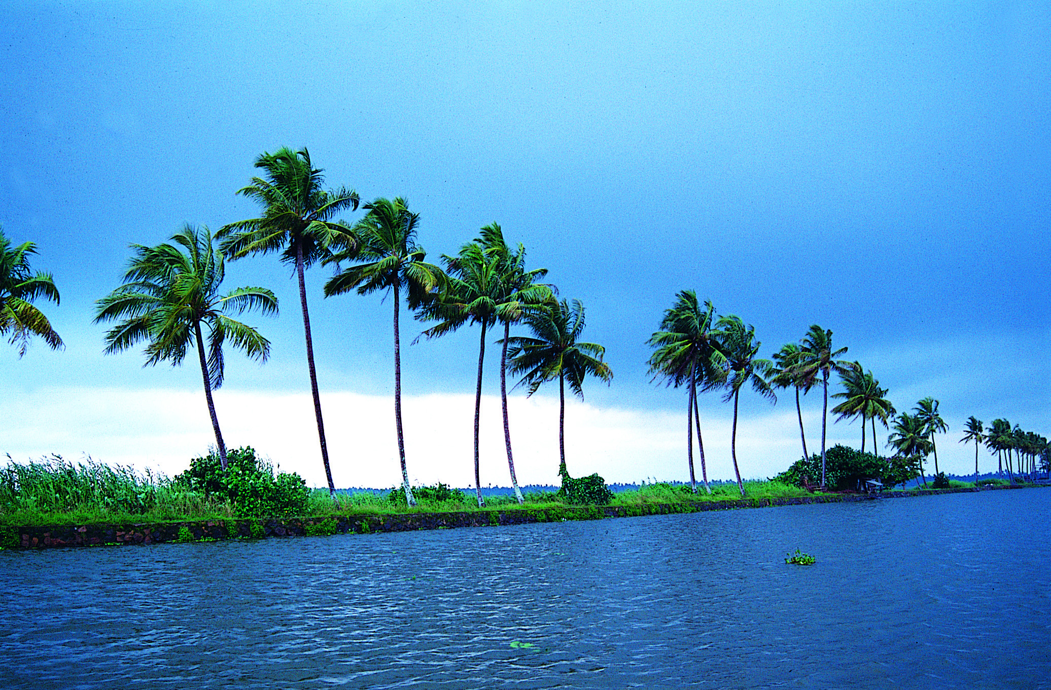 Kumarakom holiday packages.