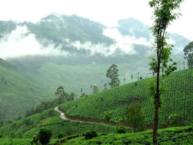 Kuttikkanam holiday packages.