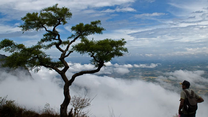 Nelliyampathy holiday packages.