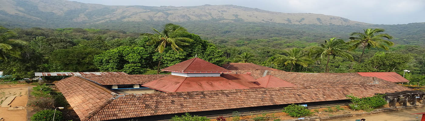 Thirunelly holiday packages.