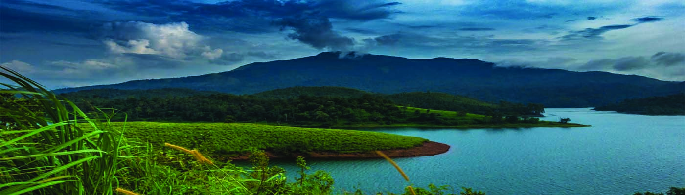 Wayanad holiday packages.