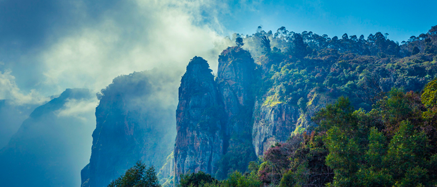 Kodaikanal(Tamil Nadu) holiday packages.